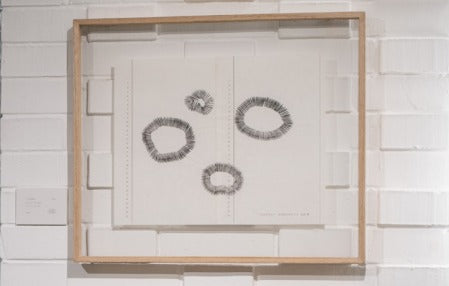 Obra de Arte - Pintura en papel " Toroidal " Barbara Castañeda