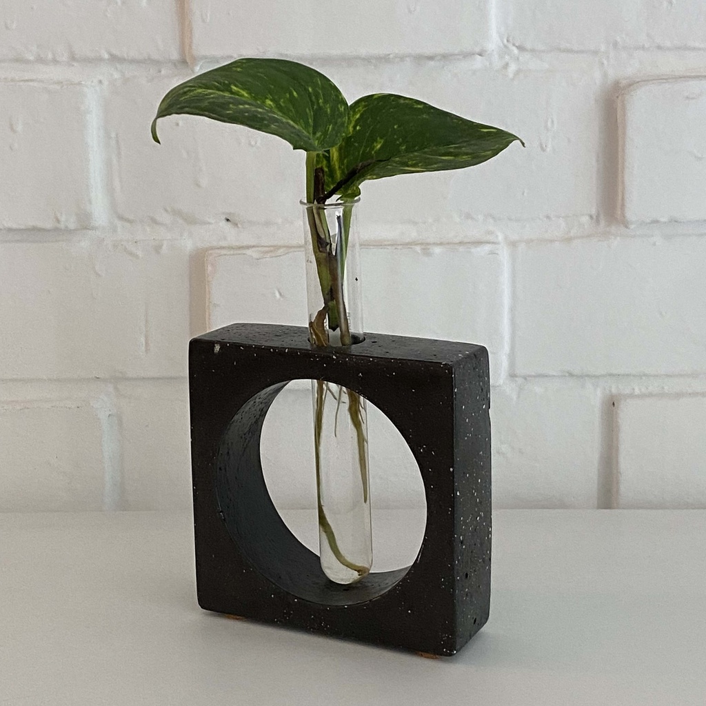 Florero propagación Cuadrado Negro