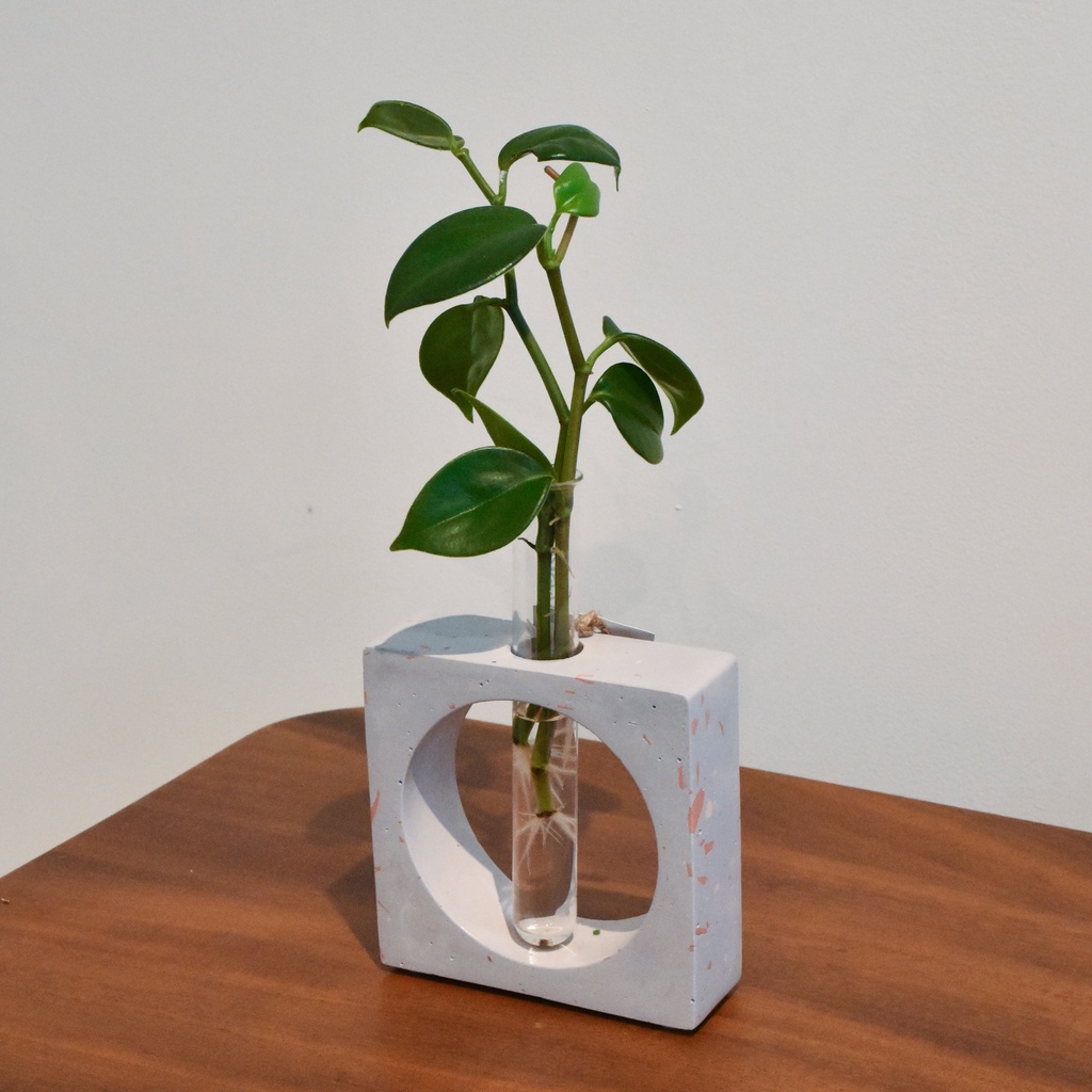 Jarrón Propagación Terrazo Lila