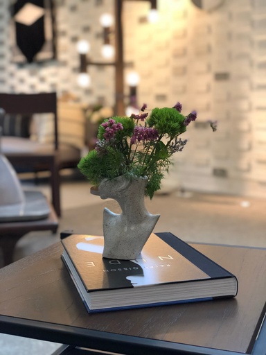 [OA0017] Obra de Arte " Libre " - Ana Beatriz Zilva