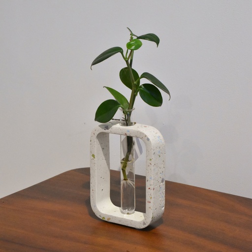 Florero Propagación Terrazo Colores