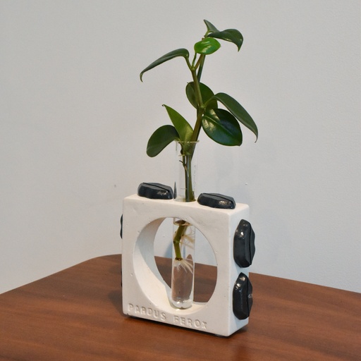 Jarrón Propagación cuadrado Blanco con Kisses